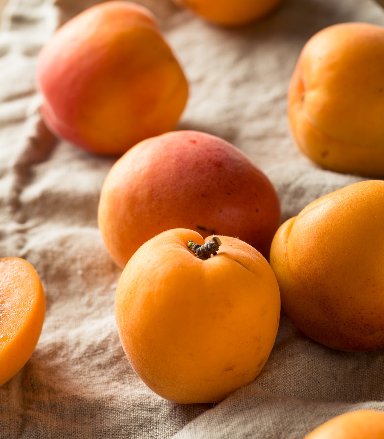 Raw Ripe Organic Apricots Ready to Eat