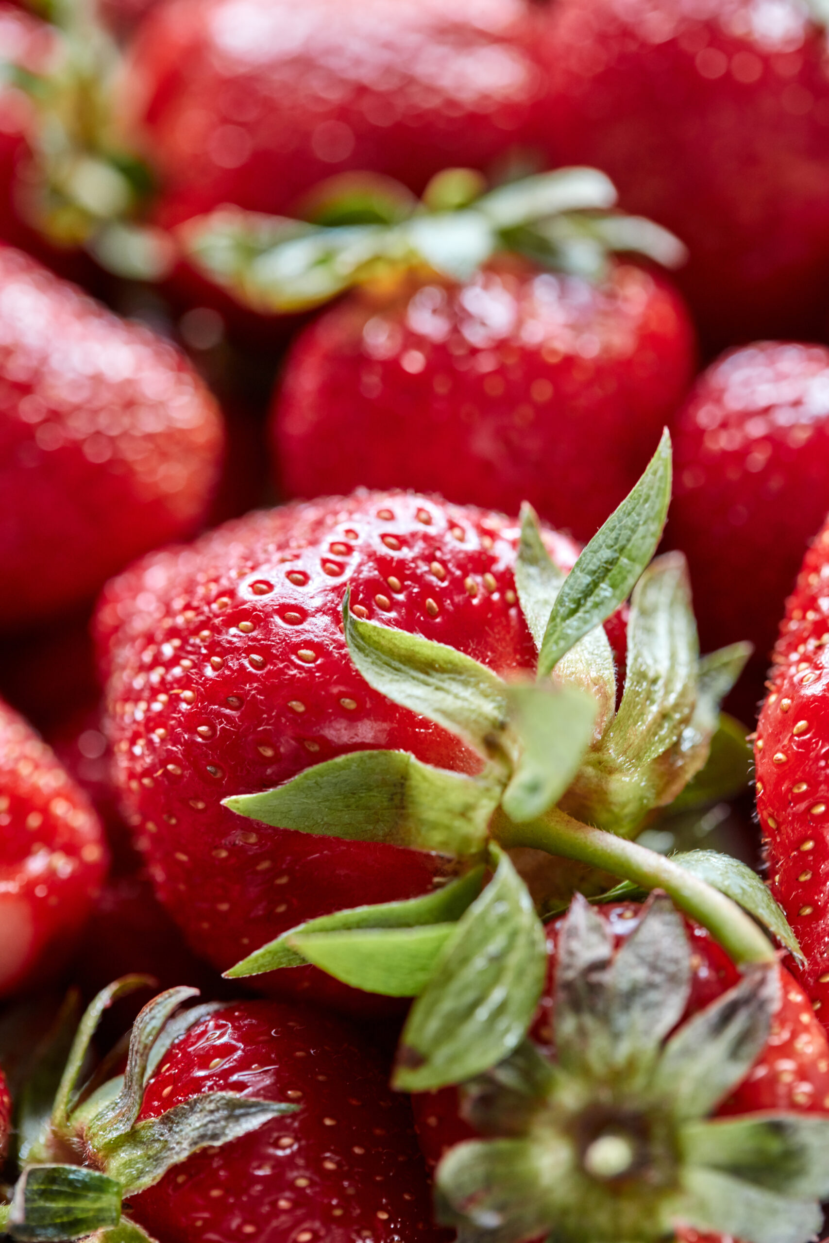 Closeup of red berries of organic strawberry with green leaves. Healthy Diet Food