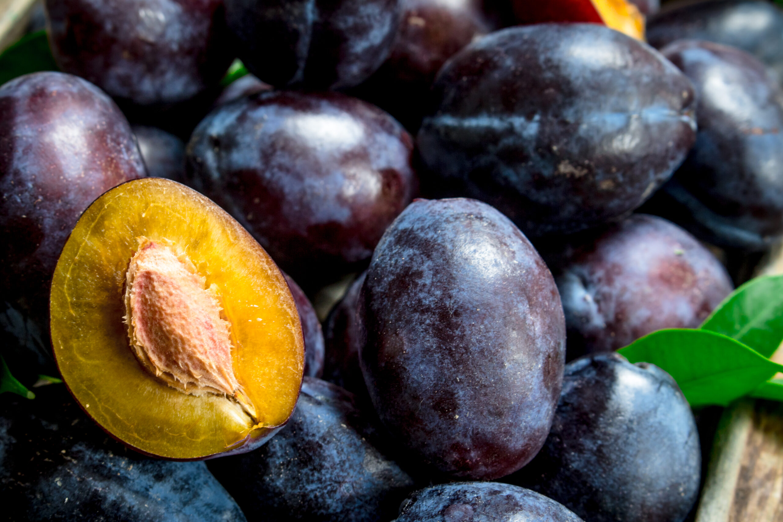 Fresh sweet plums.