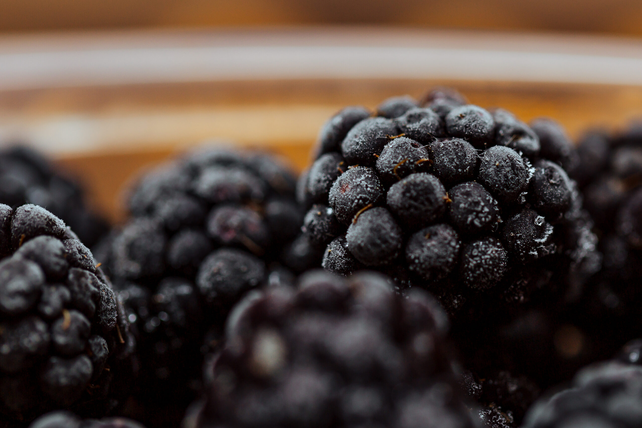 Frozen blackberries in frost.