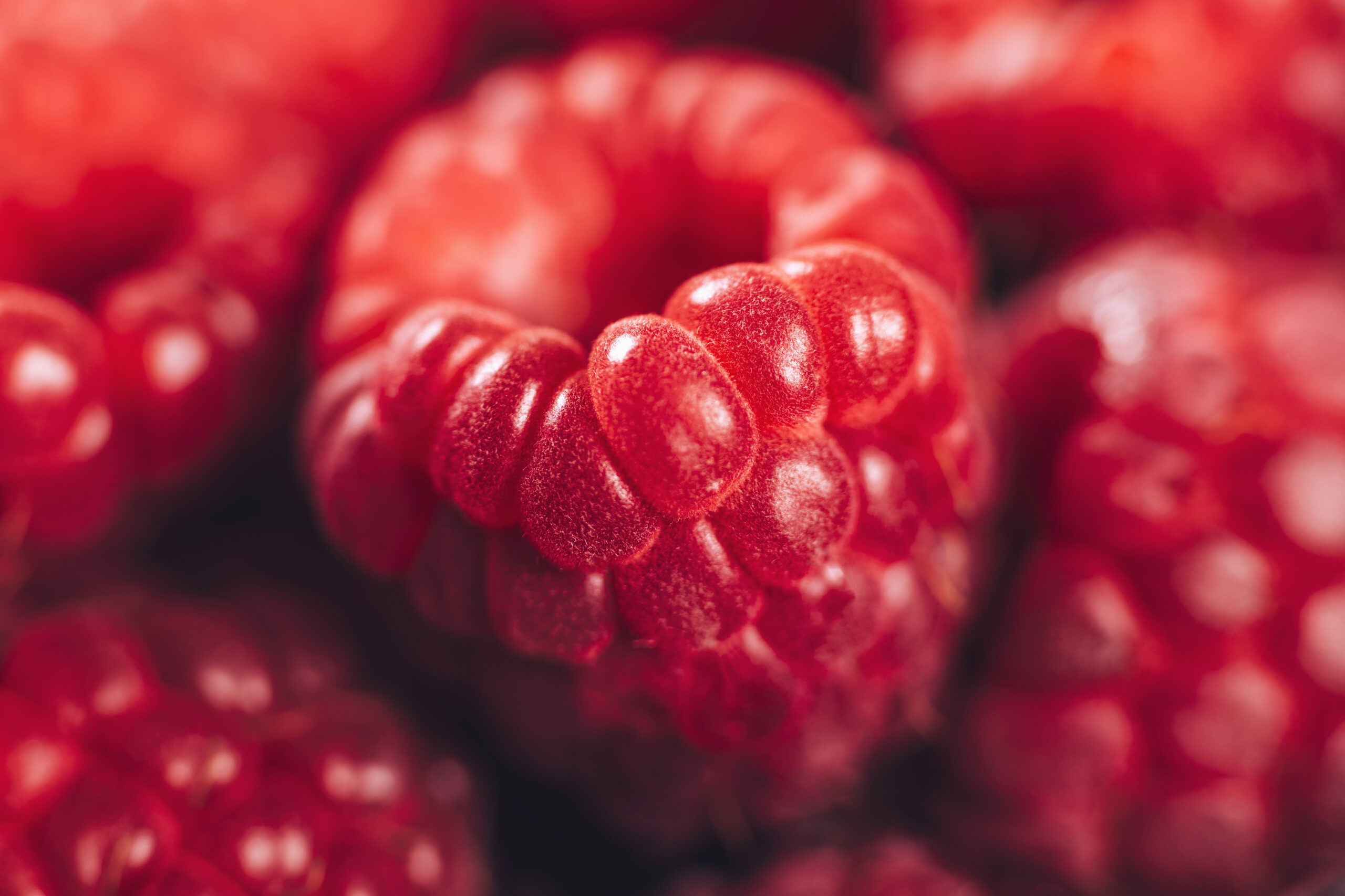 Raspberries Macro Close Up